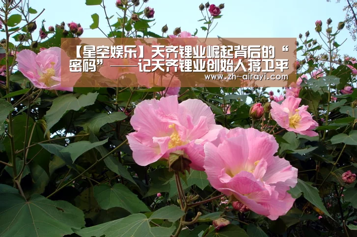 【星空娱乐】天齐锂业崛起背后的“密码”——记天齐锂业创始人蒋卫平的实业报国情怀(图3) 星空娱乐